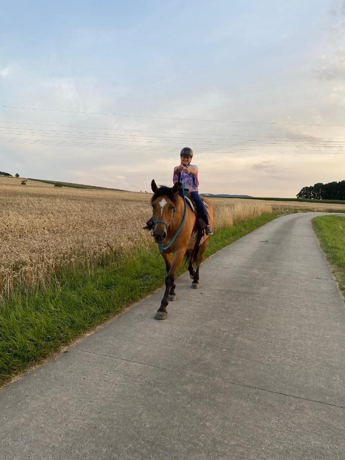 Familienbauernhof Lehmann Appartamento Weißenberg Esterno foto